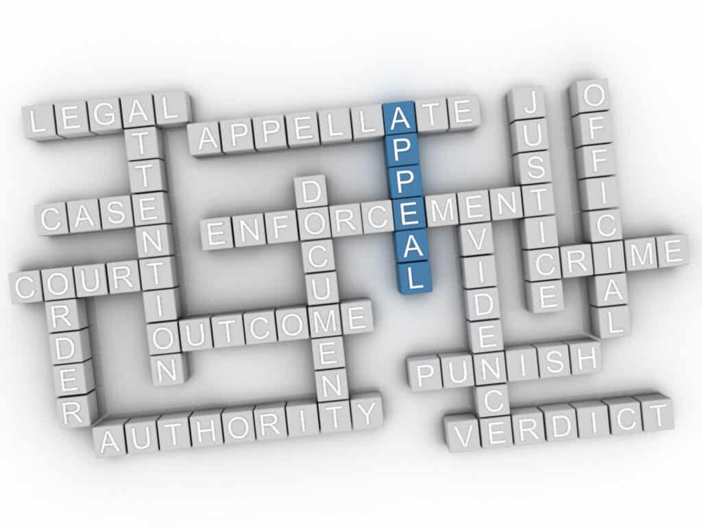 What Are My Chances of Winning an Appeal? 1 What Are My Chances of Winning an Appeal?